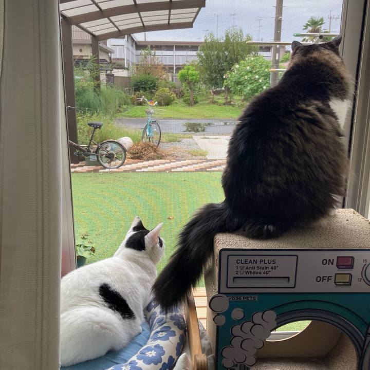 357b6352 710f 4ab6 9443 524951ef01ef 1758238819987