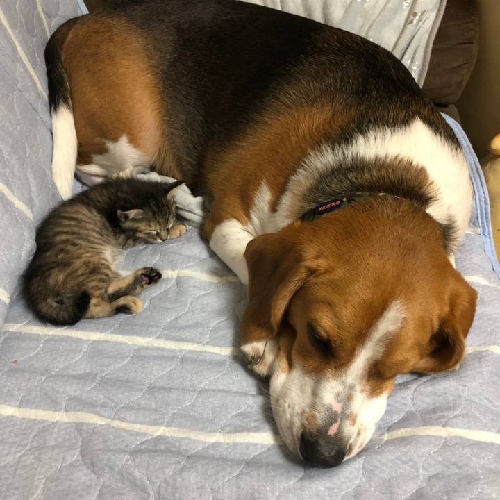 357b6b88 e50e 4678 b1cf 59151c4f3aab 1589111530932