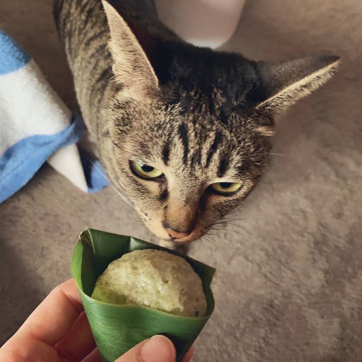 357bb4a5 a09f 4187 9b79 20608b926aa5 1581342659067