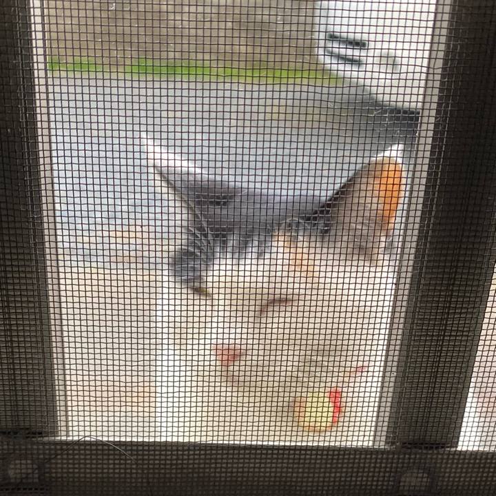 357bd642 83ee 4bda a4f5 d8d9027f7252 1637757178121