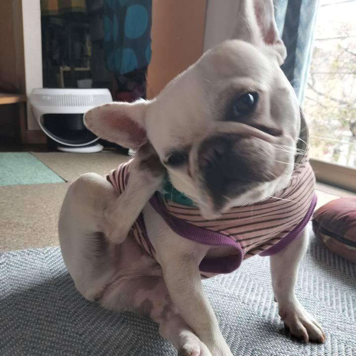 357be5ae 18bc 4872 a5fd 1d90d8ff1986 1712359884258