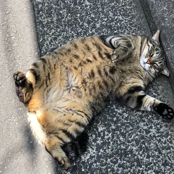 357bf738 27a4 4a49 8532 fd8330904b9f 1528981925251