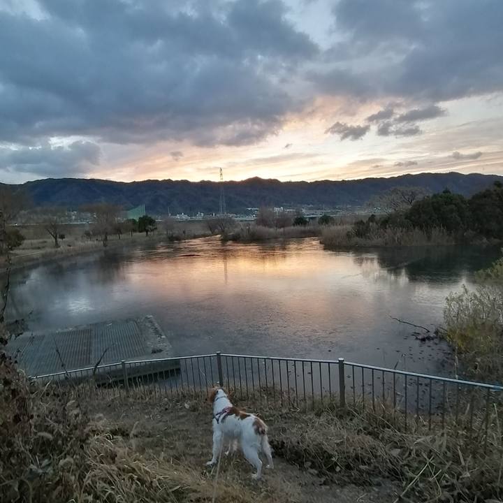 357c1a65 6d8f 4a25 88f5 72c5ae6bd34b 1610065979421