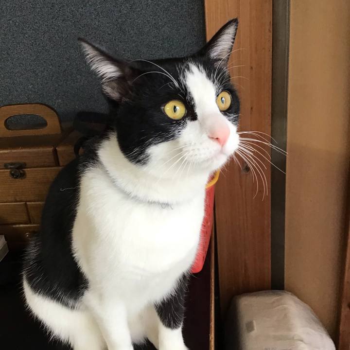 357c5c9c dacd 476c 8a6e 790f51058d7c 1644465857283