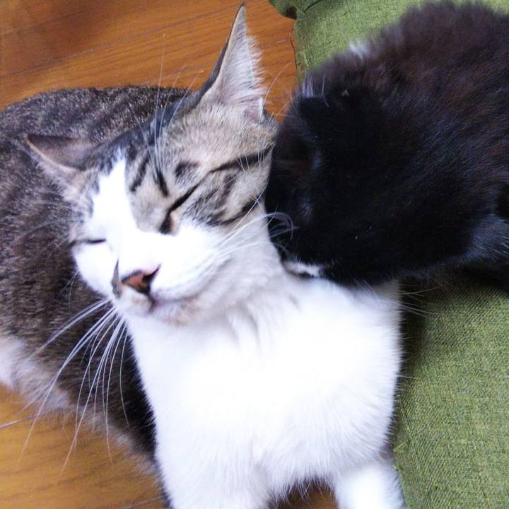 357cd67a 364c 42e7 95f9 161c5db288db 1643546397926