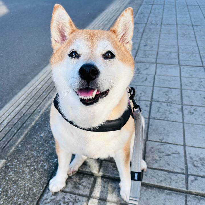 357cd884 8a8f 4b62 a4c9 e1c914cb3912 1728877806136