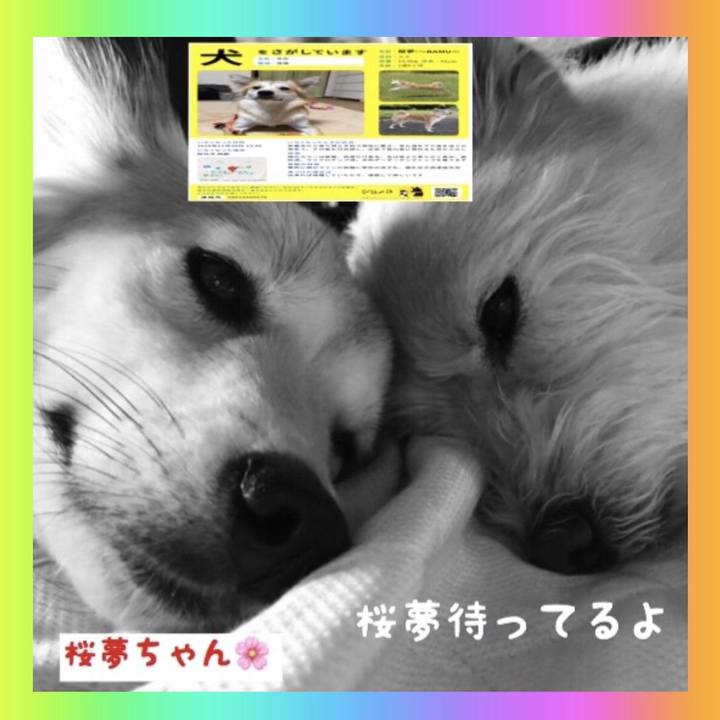 357cdac3 0e85 4b20 a153 e983f9516153 1542840255159