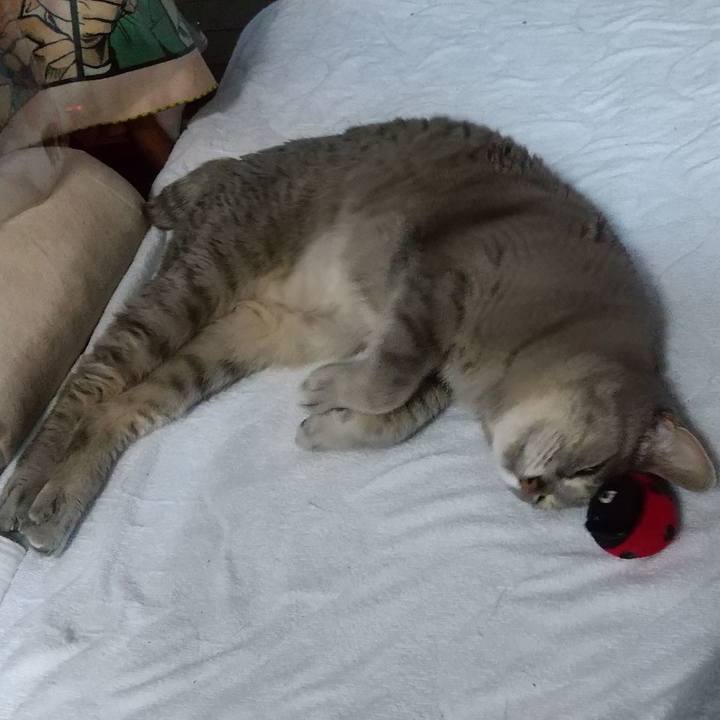 357d069a c0c4 4f83 804b 910889cc3776 1683980105147