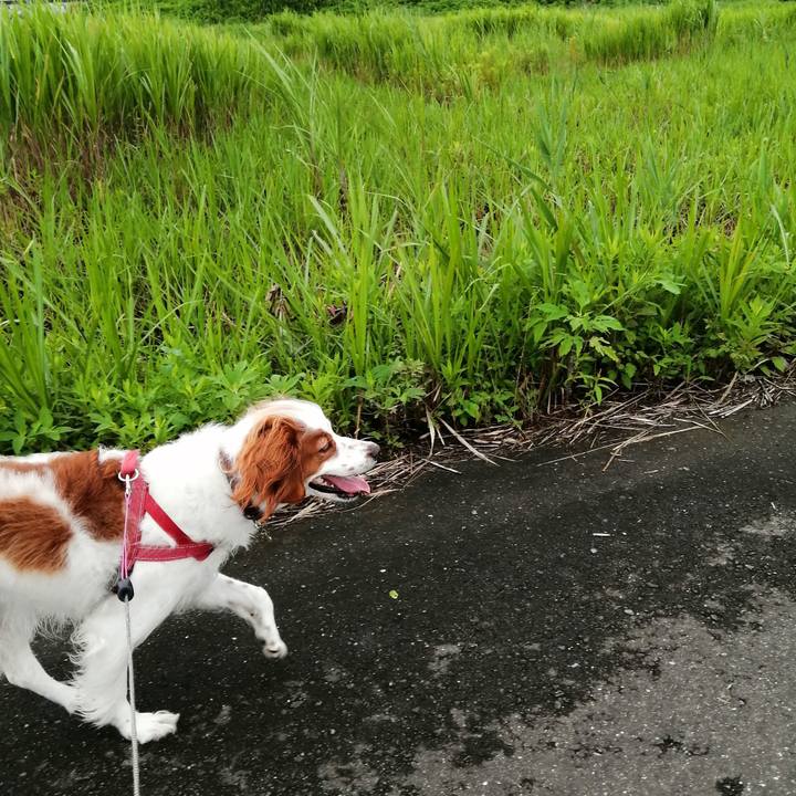 357d1c66 2e50 42ba 87a6 6ff3cd9c319a 1595653790810