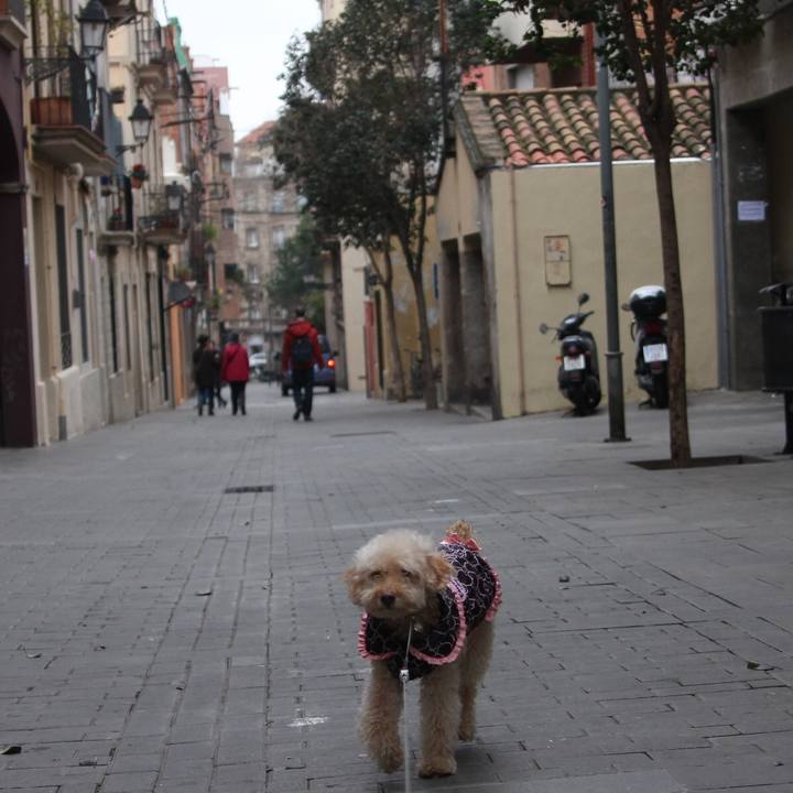 357d2a36 f464 4e49 b5c3 17f6b3b80743 1518990590986