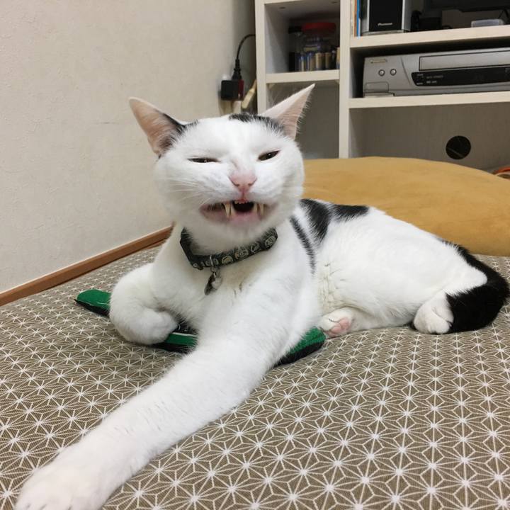 357d2e93 de7f 4d87 b2f8 9ce86e384c91 1635073858288