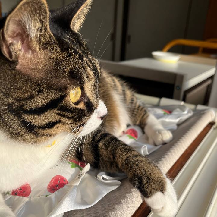 357d3714 4af2 4250 9b35 550c4046e3d6 1761175663998