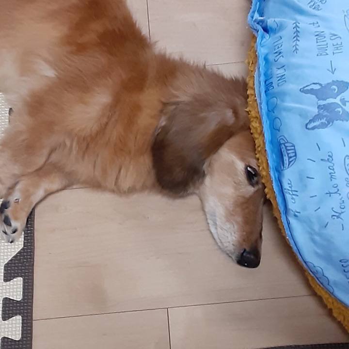 357d6643 0147 494c afb5 1683422042ff 1627902986994