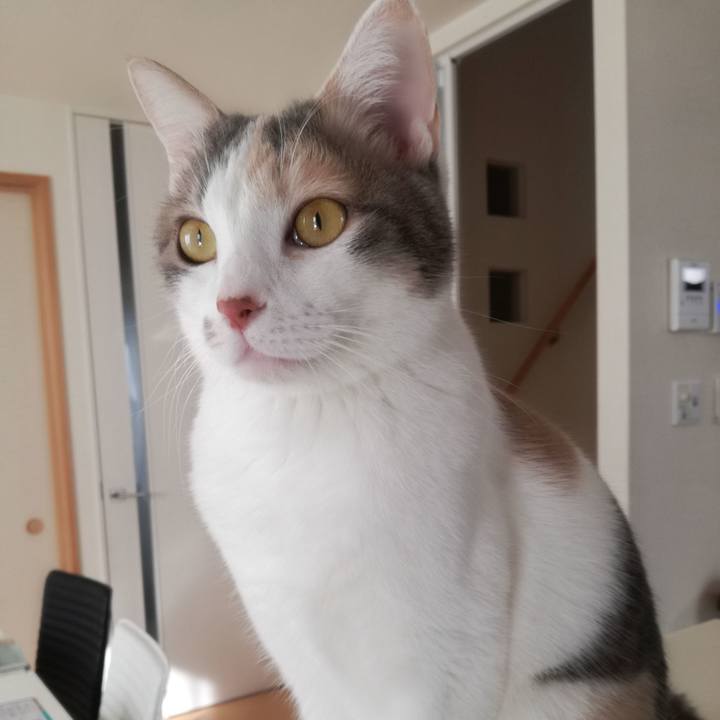 357d6846 58db 4e70 9d62 c0642e57b4e5 1515204147220