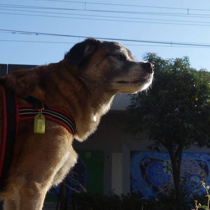 357d720c 1809 4840 b32a 3cb41aa7d008 1653093620900