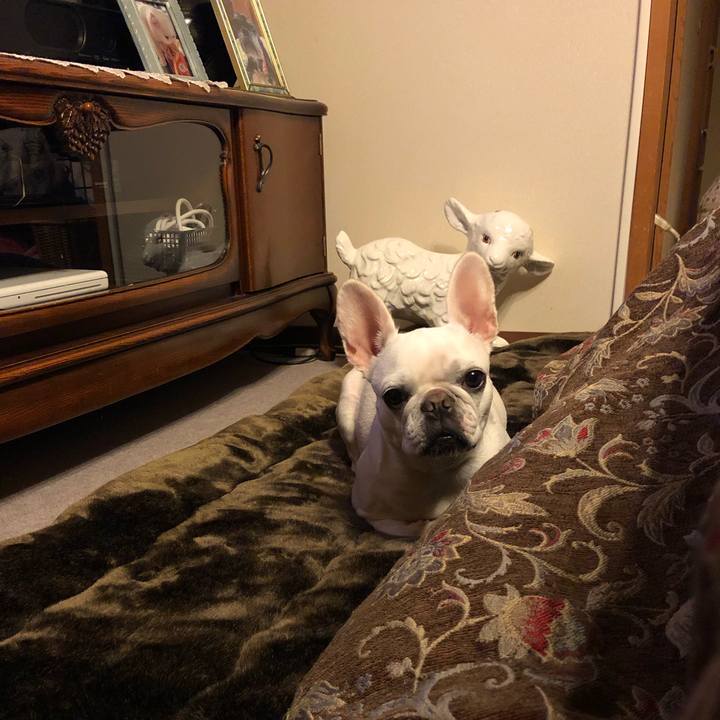 357d985e b269 4d04 a57b 620665402f07 1572862977783