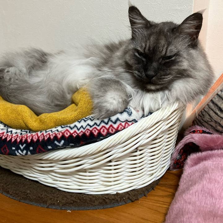 357d9fd7 8a97 45ce 9aa4 c4b2a3728354 1748050011552