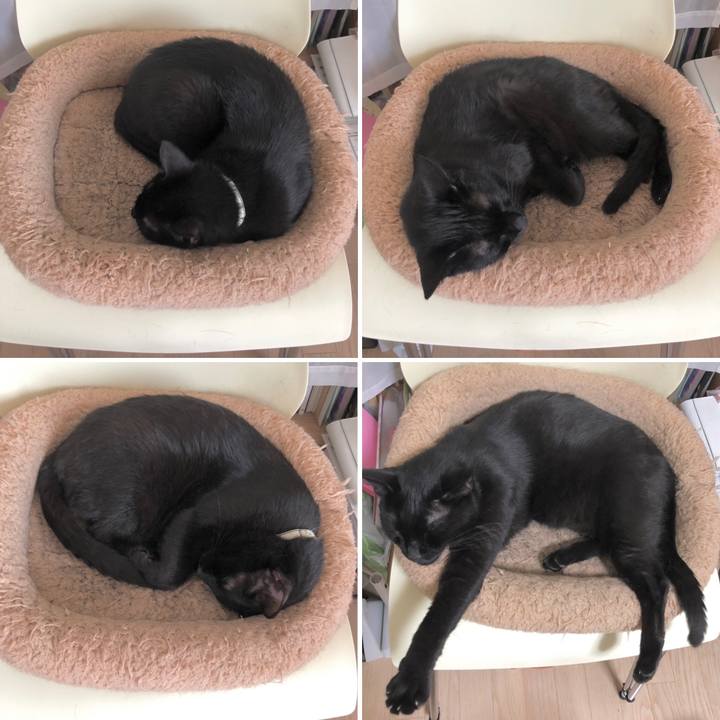 357da231 d3f1 4ec0 b3f0 53f417fdcb0a 1624760001721