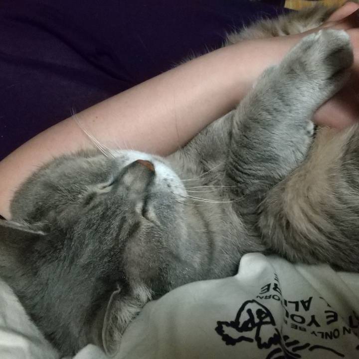 357dacd9 9261 4e4f 9497 5cffd89ca469 1649329880659