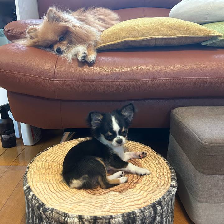 357db3db aa4b 4fad b84f d019add35a99 1757834490934