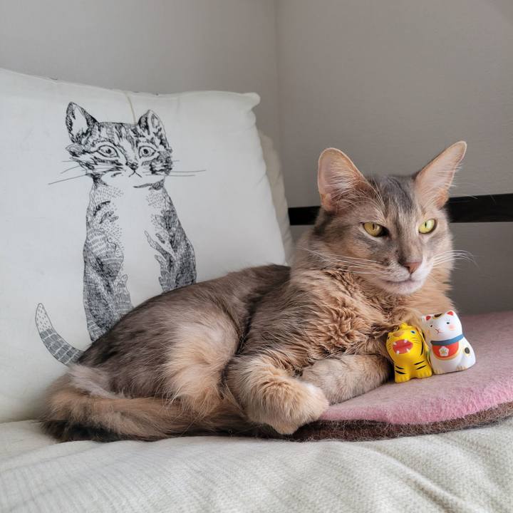 357dc861 a391 4160 8fe2 b34cd547a11d 1640995993610