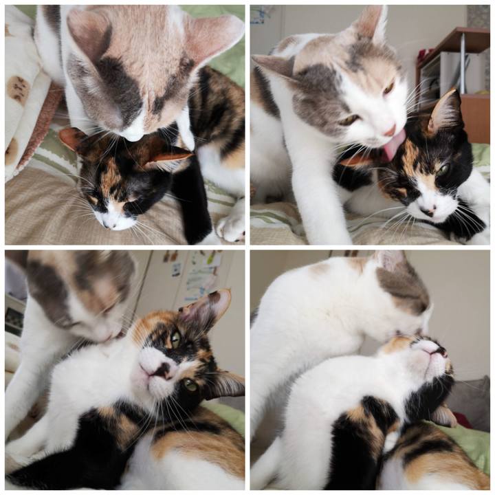 357dcebc cb63 43b2 a68e dff6e636c6a8 1615019152908