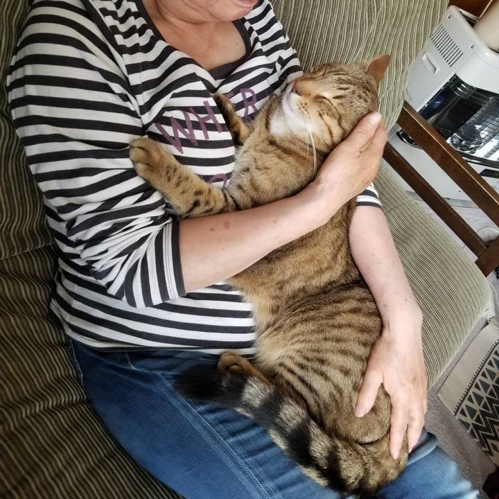 357ddb5a 3cbb 44e1 ba5d 718baf2a7b57 1684853714036