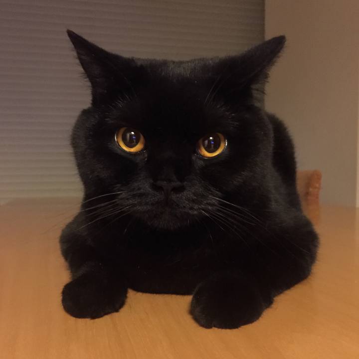 357df49e be08 4bc6 8221 62dea1647384 1528633598415