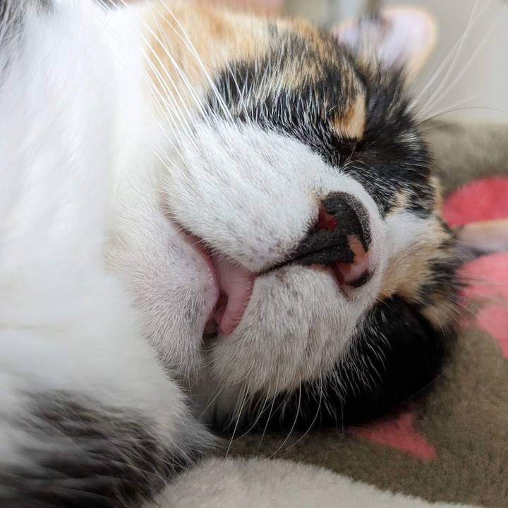 357e036c 1984 4abb 84bc e9f5b44b60d1 1686216397240