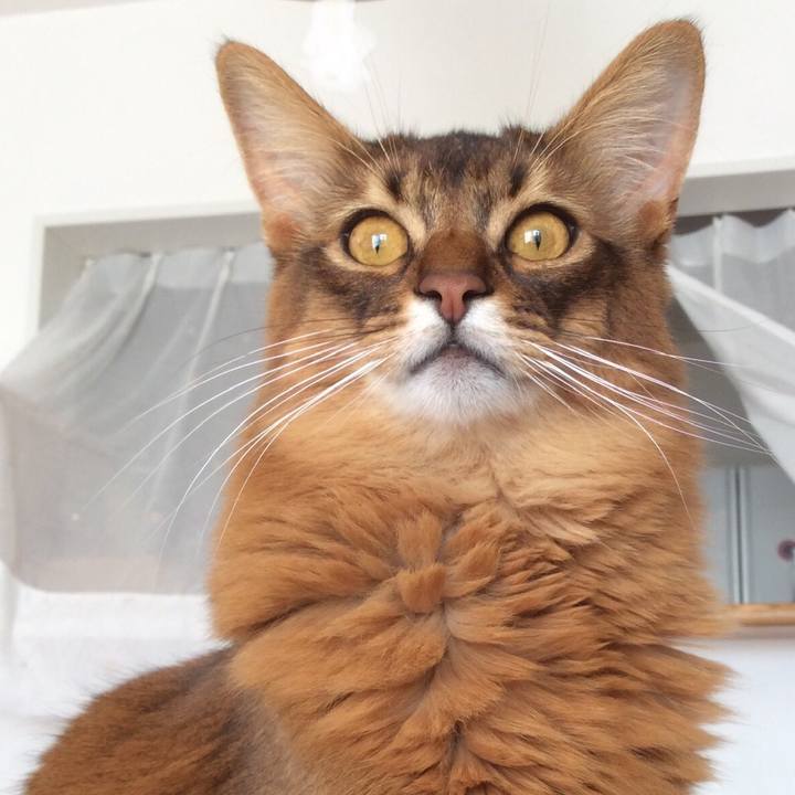 357e1fa4 cf29 4085 8aab 3574945ce1eb 1615257618409