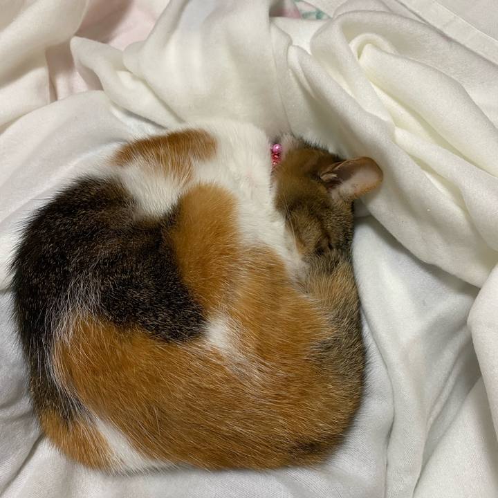 357e333e 901c 43e9 b11b 0533a5a7d5d8 1634570680729