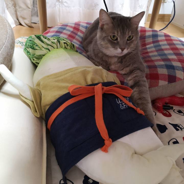 357e610d ff90 423a 95e7 36a1378d77ca 1572256606306