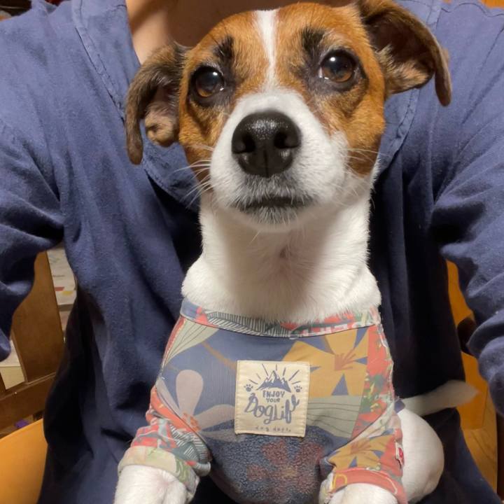 357e646e d6d3 4bee 9496 bd7535af76ae 1675871694733