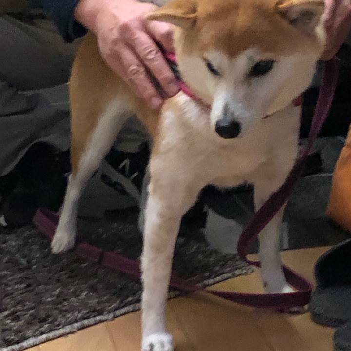 357e80f7 5a26 4ac2 9612 c383edde4350 1548542441377