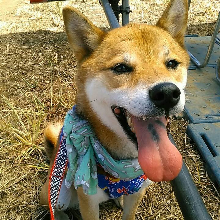 357e9216 f21c 4c67 87c2 97fbeefd7ef8 1535181678217