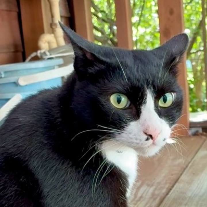 357e9dd7 be8d 4be4 b865 9b8841184946 1753583168896