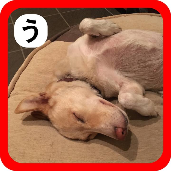 357eab25 a43f 4608 a773 9ba117f4982b 1515297562169