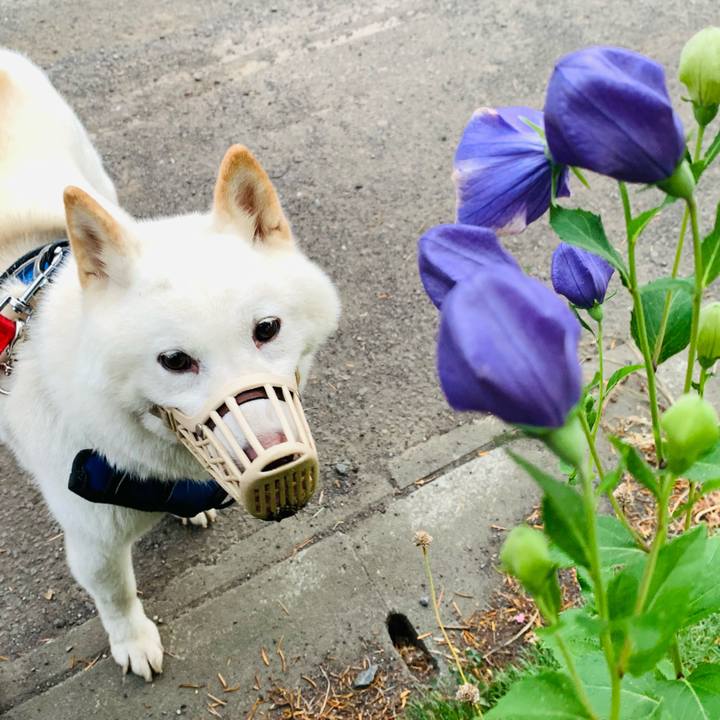 357eaf33 eda7 46ff b3de de2df2f68f28 1626985608699