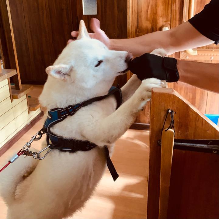 357ed8a7 98a1 4a9d 8765 8f4a9bb43df7 1631534783704