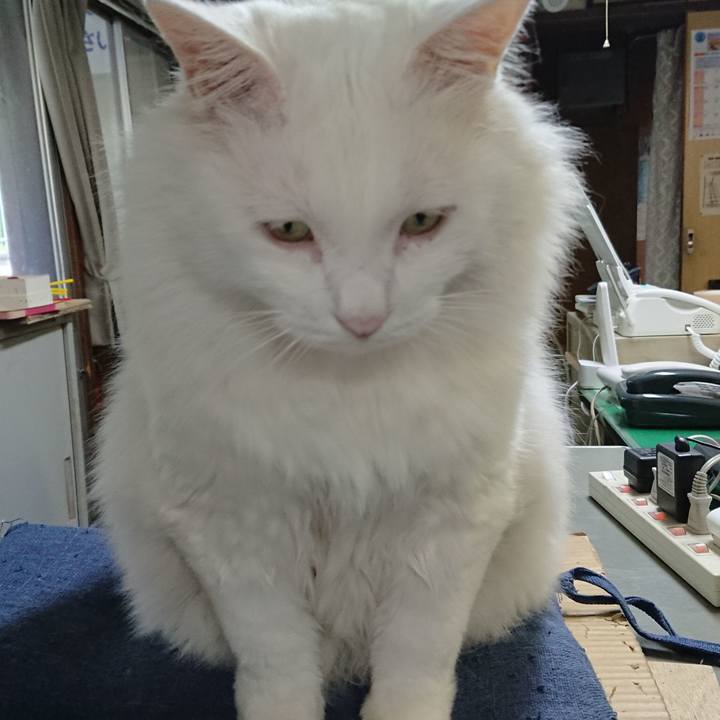 357f1382 36e7 4d9d 9f2f d60a4ed43a83 1534717394525