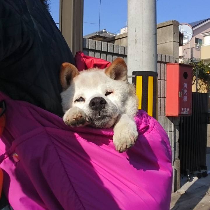 357f28ba b547 465d 81e5 11f64399ed16 1516501634914