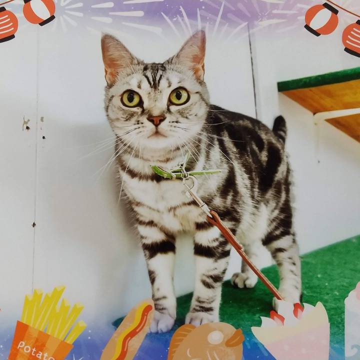 357f3043 e8e7 4638 bfb4 2f447b5773e4 1691491462019