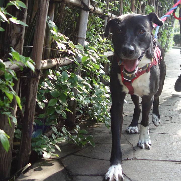 357f3926 60dd 4b33 bd4a 2e5350658814 1588038463778