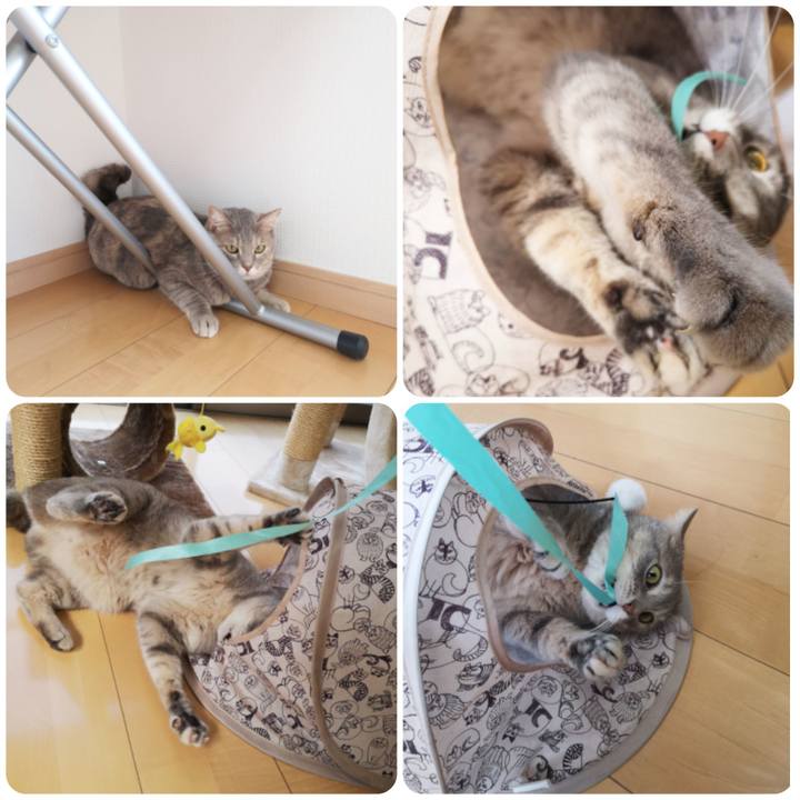 357fc242 e5b2 44e8 9943 43a28f535c99 1569917196095