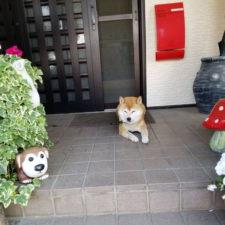 357fcc4a 2f7d 40a7 8772 327e7b1311d2 1590452430863