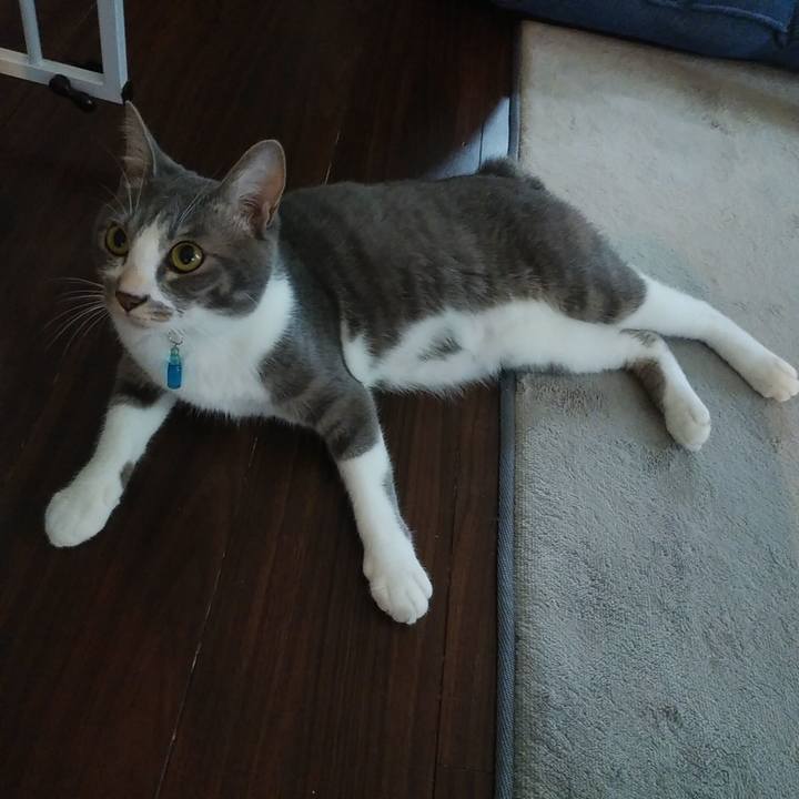 357fe5bc 3851 4002 a4e8 2bff5ce8d6d0 1593816766837