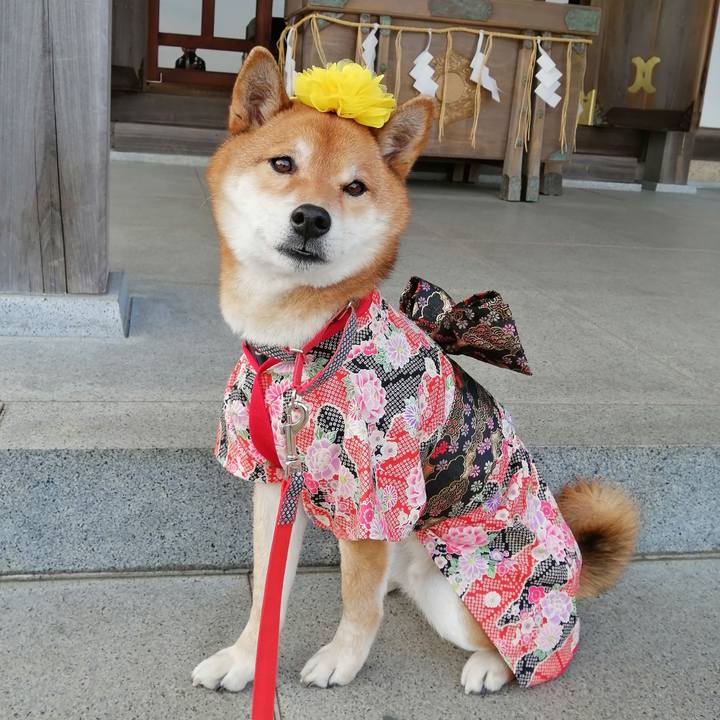 357ff89b a127 47e5 bcba 06c06f6ab27d 1581079567799