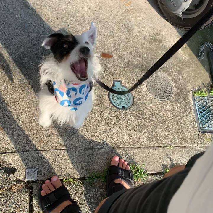 357ffa1f bb76 4de5 a746 598ac9974b87 1660899184764