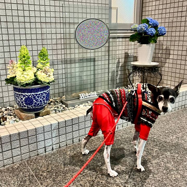 357ffc6c 345d 4eac 980a 66291019e595 1648038503143