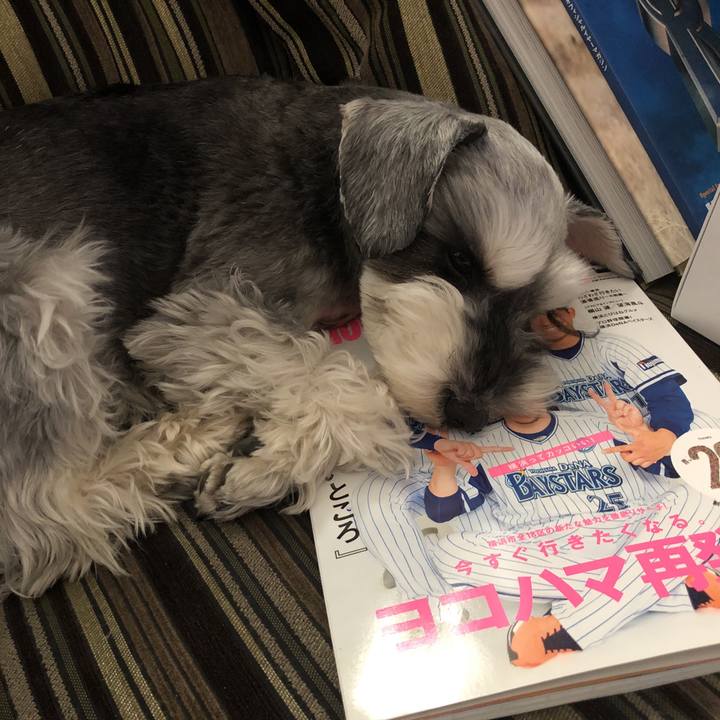 358004dd a963 4b6c b031 9a81e9dd8e39 1521949411542